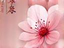 Sakura Handmade Cosmetics ロゴ